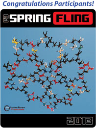Congratulations Participants-Spring Fling 2013!