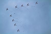 TERRY_WEATHERFORD-113013-tw-19283-med res