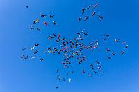 aussienationalrecord2015-052015-nk-27055-low res